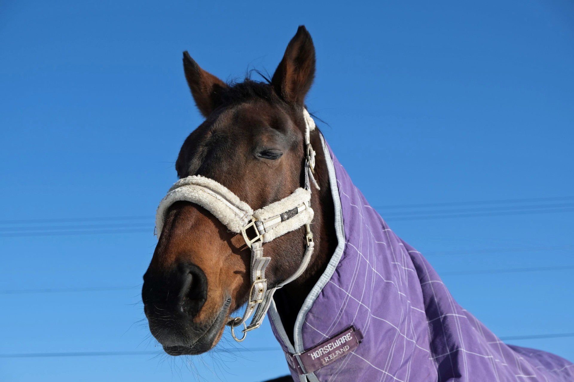 bd37726bb1c094f802bbab089e773edb-1760934767.jpg bd37726bb1c094f802bbab089e773edb-1760934767.jpg